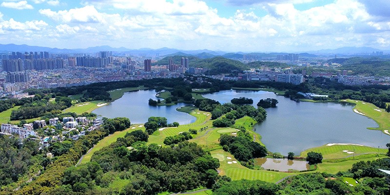 深圳分公司